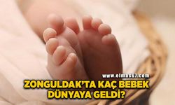 Zonguldak’ta 4 bin 98 bebek dünyaya geldi