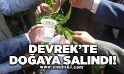 Devrek'te doğaya salındı