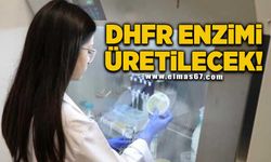 DHFR enzimi üretilecek!