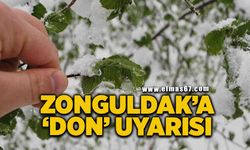 Meteorolojiden Zonguldak’a zirai don uyarısı