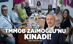 TMMOB Zaimoğlu’nu kınadı!