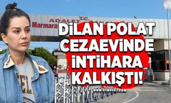 Dilan Polat cezaevinde intihara kalkıştı