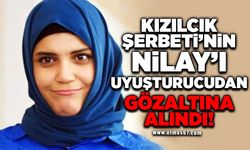 Kızılcık Şerbeti'nin Nilay'ı uyuşturucudan gözaltına alındı!