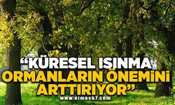 "Küresel ısınma ormanların önemini arttırıyor"