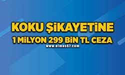 Koku şikayetine 1 milyon 299 bin TL para cezası