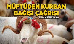 Müftüden Diyanete kurban bağış çağrısı