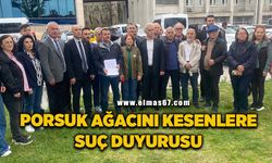 Porsuk ağacının kesilmesi konusu adliyeye taşındı