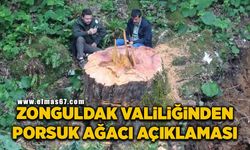 Zonguldak Valiliğinden porsuk ağacı açıklaması