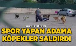 Sabah sporu yapan adama köpekler saldırdı