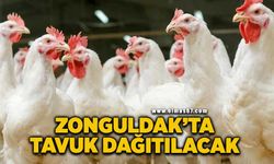 Zonguldak’ta tavuk dağıtılacak