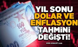 Yıl sonu dolar ve enflasyon tahmini değişti!