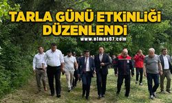 Tarla Günü etkinliği düzenlendi