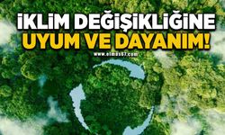 İklim değişikliğine uyum ve dayanım