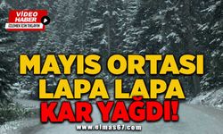 Mayıs ortası lapa lapa kar yağdı