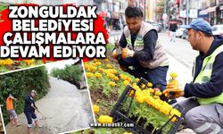 Zonguldak Belediyesi çalışmalara devam ediyor
