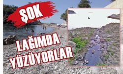 Zonguldaklı vatandaşlar lağımda yüzüyor!