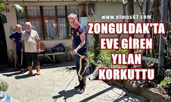 Zonguldak'ta eve giren yılan korkuttu!