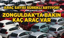 Zonguldak’ta araç sayısı her geçen ay artıyor