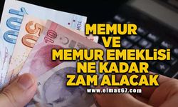 MEMUR VE MEMUR EMEKLİSİ NE KADAR ZAM ALACAK