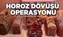 Horoz dövüşü operasyonu!