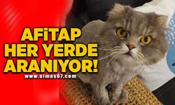 AFİTAP her yerde aranıyor!