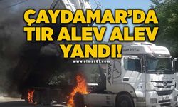 Çaydamar'da tır alev alev yandı