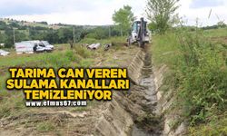 Tarıma can veren sulama kanalları temizleniyor