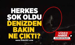 Herkes şok oldu... Denizden bakın ne çıktı?