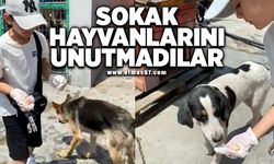 Sokak hayvanlarını unutmadılar...