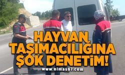 Hayvan taşımacılığı denetleniyor