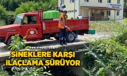 Sineklere karşı ilaçlama çalışmaları sürüyor