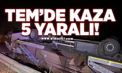 TEM'de kaza: 5 yaralı!