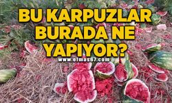 Bu karpuzlar burada ne yapıyor?