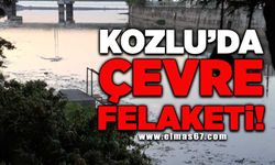 Kozlu’da çevre felaketi!