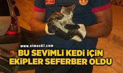 Mazgala düşen yavru kedi kurtarıldı