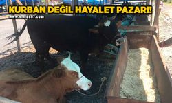 Kurban pazarı değil hayalet pazarı!