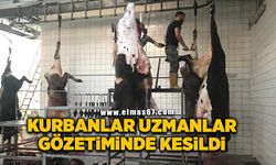 Kurbanlar uzmanlar kontrolünde kesildi