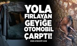 Yola fırlayan geyiğe otomobil çarptı