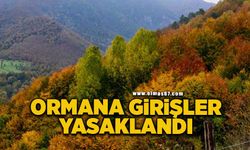 Ormanlık alanlara girişler yasaklandı