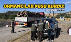 Ormancılar usulsüzlükler için yollara pusu kurdu!