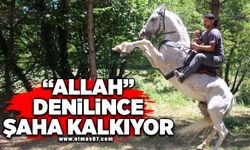 "Allah" denilince şaha kalkıyor