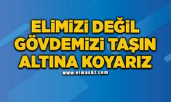 "Elimizi değil gövdemizi taşın altına koyarız"