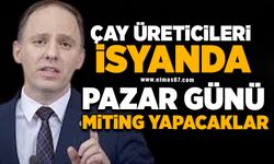 Çay üreticileri isyanda! Pazar günü miting yapacaklar