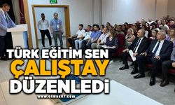 Türk Eğitim Sen çalıştay düzenledi