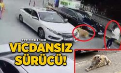 Vicdansız sürücü önce çarptı sonra kaçtı