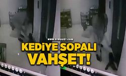 Kendisine saldıran kediye sopalı vahşet!