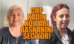 CHP Kadın kolları başkanını seçiyor!