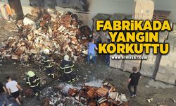 Organize Sanayi Bölgesi’nde yangın korkuttu