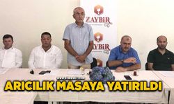 Zonguldak arıcılığı masaya yatırıldı