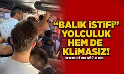 "BALIK İSTİFİ" YOLCULUK, HEM DE KLİMASIZ!